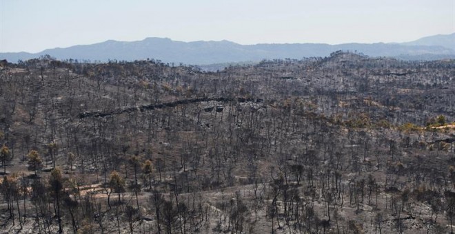 Vista del terreno calcinado este sábado tras el paso del incendio forestal de Tarragona que ha afectado a la comarca de la Ribera d'Ebre desde el miércoles. Tras arrasar unas 6.000 hectáreas y afectar a municipios tarraconenses como Flix o Vinebre, los bo