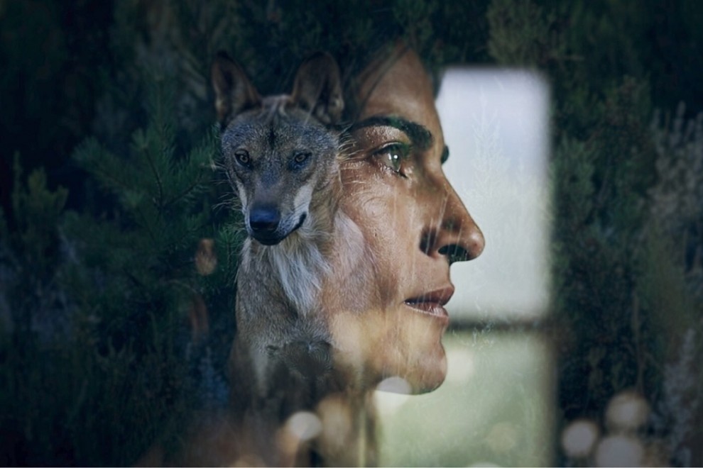 En Tierra de todos', el documental que da voz a los pastores y pone en  valor la coexistencia con el lobo | Público