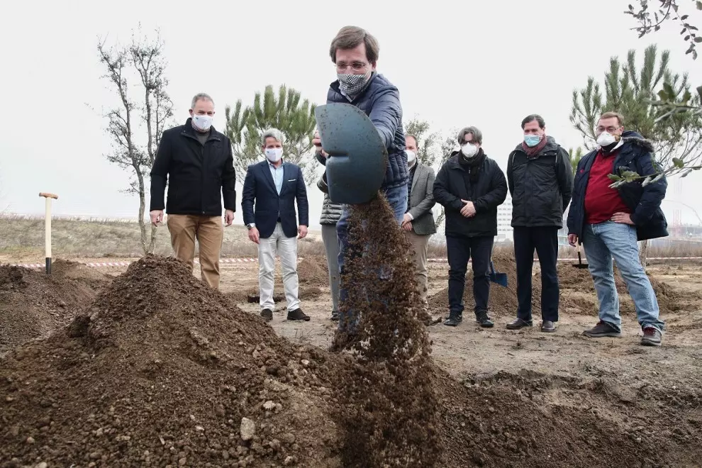 El alcalde de Madrid, José Luis Martínez-Almeida, planta un árbol en enero de 2021 en el Parque Central de Valdebebas.