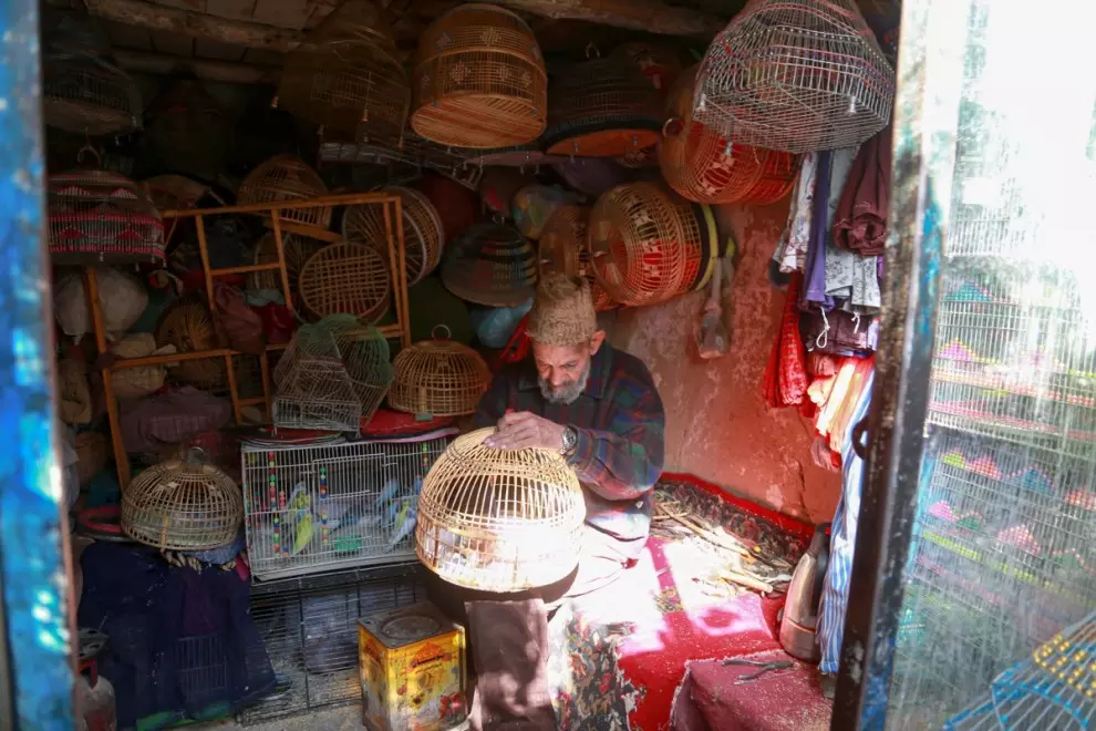 Un hombre vende pájaros en su tienda en Kabul. EFE/EPA/SAMIULLAH POPAL