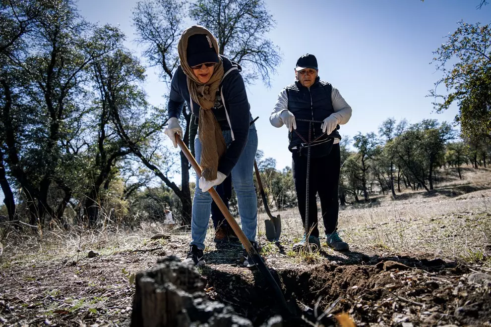 Morgues colapsadas y un subregistro en la base nacional de personas desaparecidas en México | Público