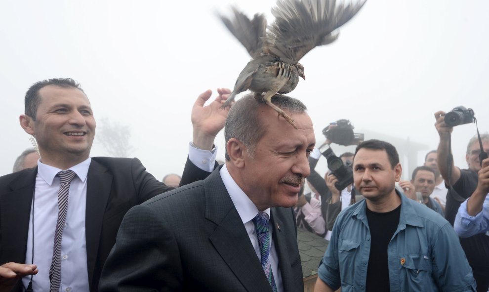 Un urogallo se posa en la cabeza del presidente turco, Tayyip Erdogan, cuando visita una instalación del Ministerio de Bosques y Gestión de Agua en Rize, Turquía, 14 de agosto de 2015. REUTERS / Stringer,