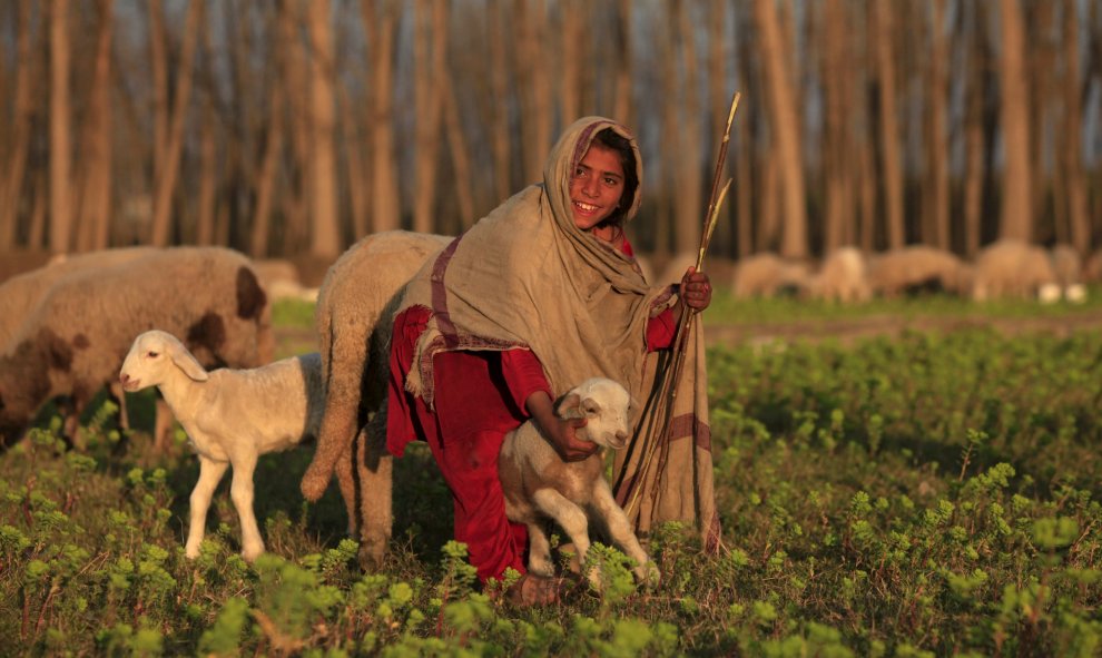 Una chica sostiene una oveja en un campo en Nowshera, Pakistán. REUTERS/Fayaz Aziz