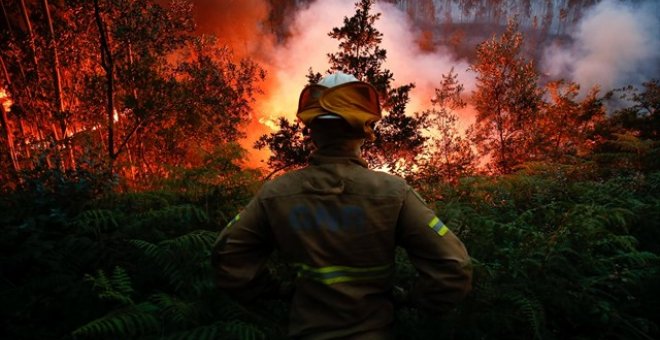 Una de las zonas incendiadas de Portugal /REUTERS