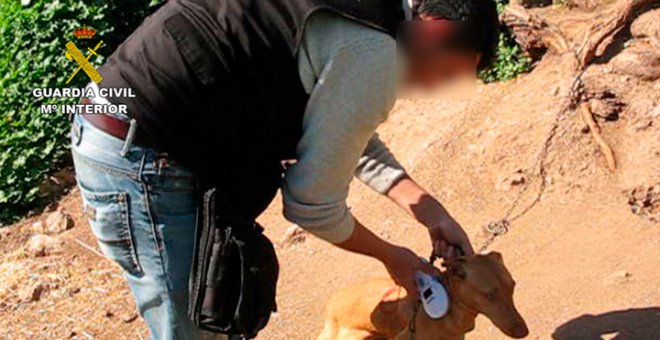 Un agente del Seprona rescata a un perro. GUARDIA CIVIL