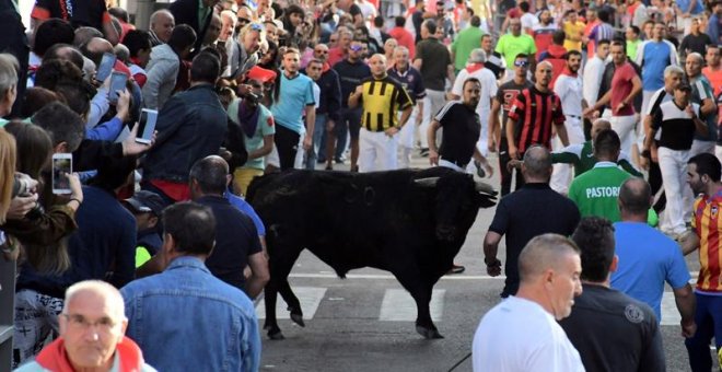 Imagen de un encierro. / EFE