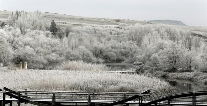 Las bajas temperaturas de la pasada noche dejan paisajes completamente blancos en la localidad salmantina de Alba de Tormes, confundiendo la cencellada con una nevada.- EFE/J.M.GARCIA