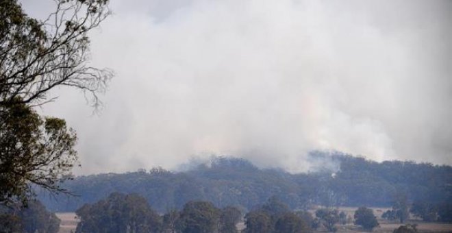 Humo de los incendios en Wytaliba, localidad cercana a Glen Innes. / NEW ZEALAND OUT