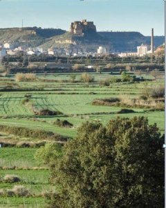 Monzón, desde los terrenos en los que Solmasol prevé ubicar la planta incineradora de biomasa.