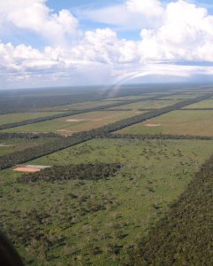 Vista aérea de la deforestación del Amazonas