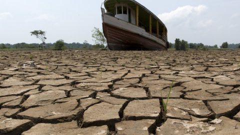 La sequía ha dejado así el río Amazonas a su paso por Manaus