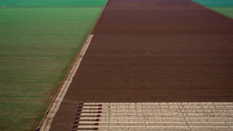 Un convoy de cosechadoras avanza en un campo de cultivo de Campo Novo do Parecis, Brasil.