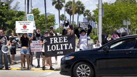 Varios manifestantes protestan junto al Seaquarium de Miami para pedir que liberen a la orca "Lolita" en Miami, Estados Unidos, hoy, 8 de agosto de 2017. Activistas de la organización animalista PETA piden que la orca "Lolita" reciba refugio en un santua