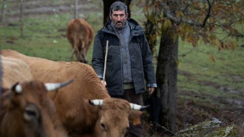 El actor Luis Zahera, en una secuencia de la película 'As bestas'.