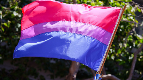 Bandera bisexual