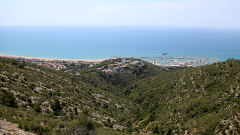 15/08/2024 - Boscos del Parc del Garraf.