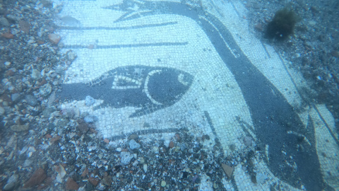 27/06/2023 - Representación de varios peces en forma de mosaico, hallada entre los restos arqueológicos de la ciudad romana de Baia.