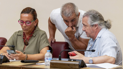 Los tres concejales a los que VOX ha inhabilitado, Leticia Alejandra Martínez, José Bernabé Cotillas (c) y José Ramón Conesa (d), durante el Pleno del Ayuntamiento de Albacete del mes de julio,