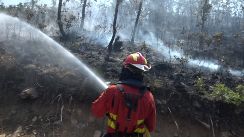 Los bomberos de Castilla y León, al límite: "Perder la vida es peor que perder el trabajo"