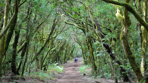 La leyenda de Gara y Jonay, el Romeo y Julieta de La Gomera