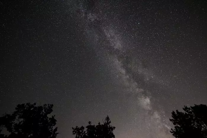 Guía para ver las Perseidas 2024: cuándo y cómo se podrá contemplar la lluvia de estrellas