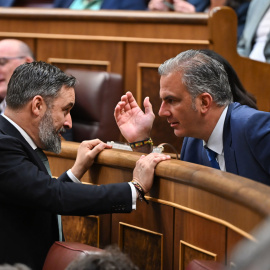 El líder de Vox, Santiago Abascal, conversa con el diputado de la formación Javier Ortega Smith durante un pleno del Congreso. - EFE / Fernando Villar