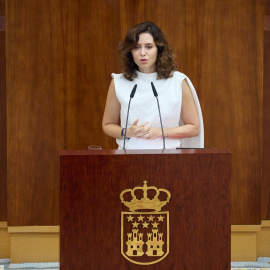  La presidenta de la Comunidad de Madrid, Isabel Díaz Ayuso, en una foto de archivo. -EP