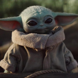 Baby yoda, the Mandalorian