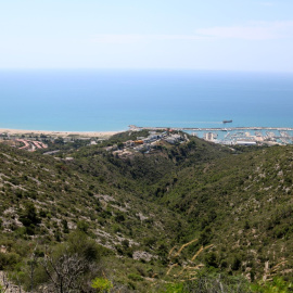 15/08/2024 - Boscos del Parc del Garraf.