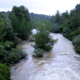 El barranc de Lloret baixa aigua del massís dels Ports al seu pas pel terme municipal de Roquetes (Baix Ebre).