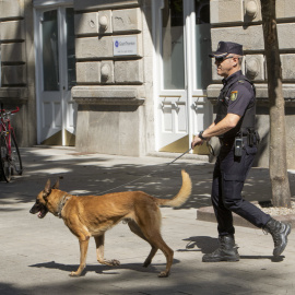 Agente de la Policía Nacional