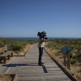 Nueva pasarela de Cuesta Maneli en el Espacio Natural de Doñana. (Almonte, Huelva, Andalucía, España), a 09 de junio de 2020.