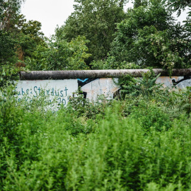 Berlín se erige en la ciudad verde por excelencia