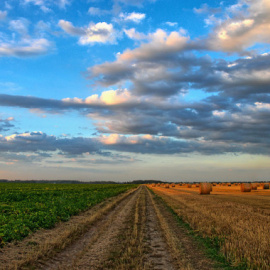 Imagen de archivo de un campo de cultivo/ Pixabay