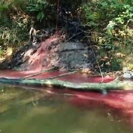 Ecologistas denuncian el vertido de sangre de un matadero a un río de Gipuzkoa