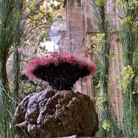 La tradició de l'Ou com balla a la Catedral de Barcelona amb una ornamentació renovada amb una proposta més verda i natural