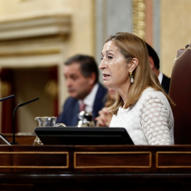 La presidenta del Congreso de los Diputados, Ana Pastor, durante la sesión de control al Gobierno. EFE/Mariscal