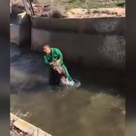 Un fragmento del vídeo en el que un hombre maltrata a un jabalí.