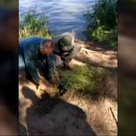 ¿Hay un cocodrilo suelto por el río Pisuerga en Valladolid?