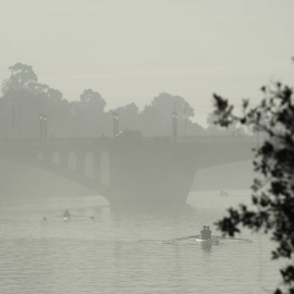 Niebla abundante en Sevilla, con temperaturas mínimas en ascenso.