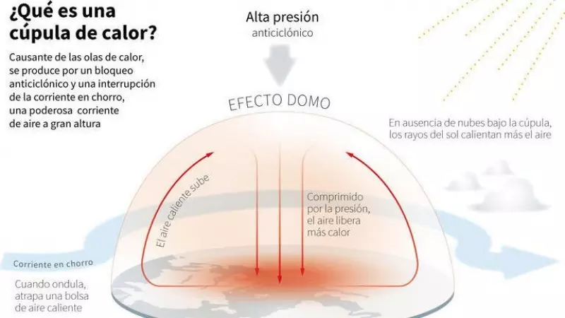 31/07/2023 - Infografía acerca del 'efecto domo'.