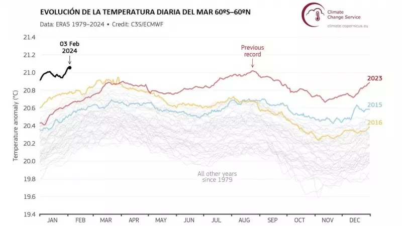 Evolución de la temperatura diaria del mar.