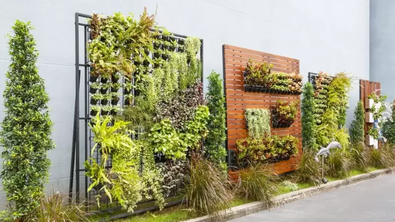Cómo montar un jardín vertical en tu terraza