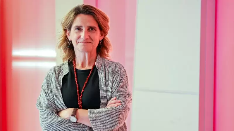Teresa Ribera, vicepresidenta tercera, ministra de Transición Ecológica y candidata del PSOE a las elecciones europeas, tras la entrevista con 'Público'.