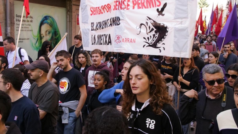 20/10/2024 - Imatge de la manifestació contra l'extrema dreta d'Aliança Catalana d'aquest diumenge a Ripoll.