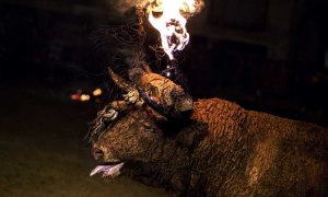 Toro de Jubilo de Medinacelli