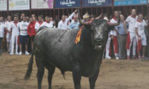 El toro Escribano, ante el hostigamiento de los allí presentes, poco antes de ser abatido de un disparo. PACMA