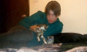 A los gatos, ni tocarlos: un asesino en internet