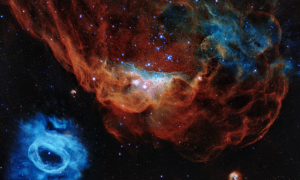 La nebulosa gigante NGC 2014 y su vecina, NGC 2020, que se integran en la Gran Nube de Magallanes. / ESA/NASA