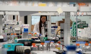 Una investigadora trabajado para la vacuna del coronavirus, en un laboratorio en San Diego (California, EEUU). REUTERS / Bing Guan